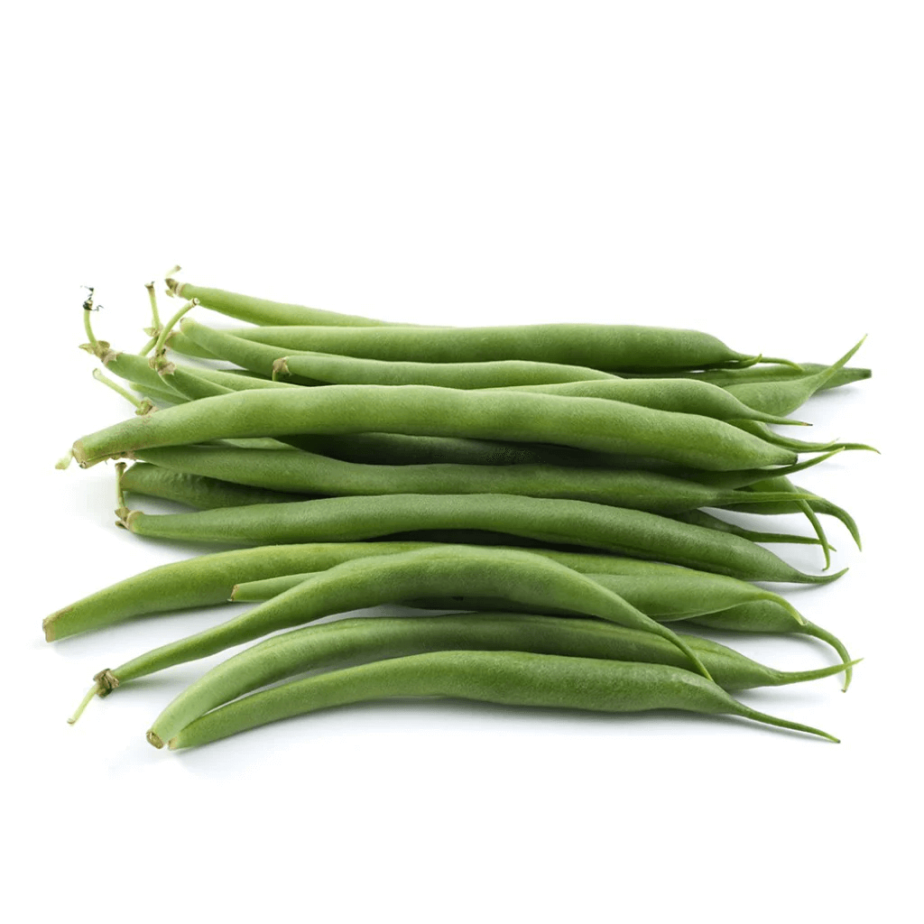 Bean Seeds – Standard