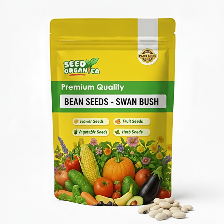 Bean Seeds – Swan Bush