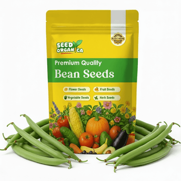 Bean Seeds – Yardlong
