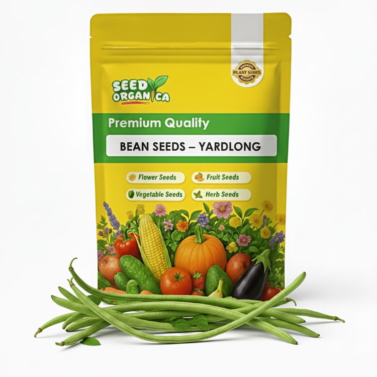 Bean Seeds – Yardlong