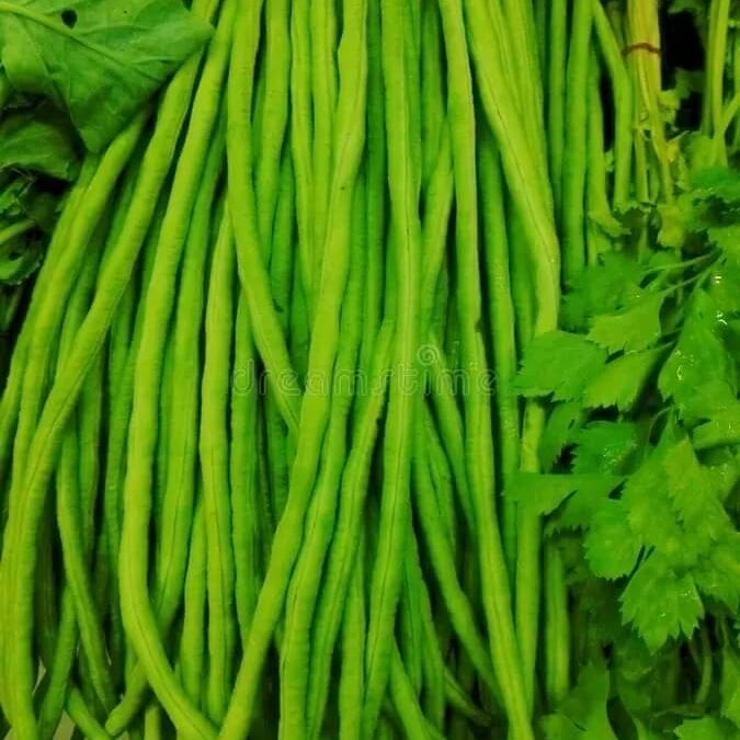 Bean Seeds – Yardlong
