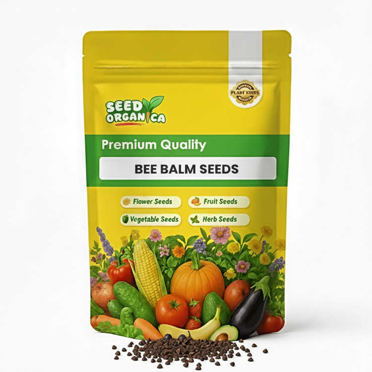 Bee Balm Seeds