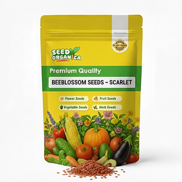 Beeblossom Seeds – Scarlet