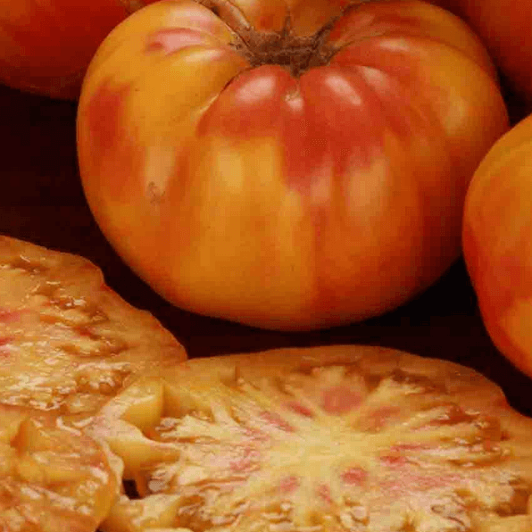 Beefsteak Tomato Seeds - Rainbow