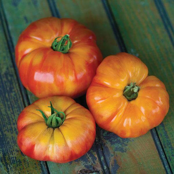 Beefsteak Tomato Seeds - Rainbow Giant