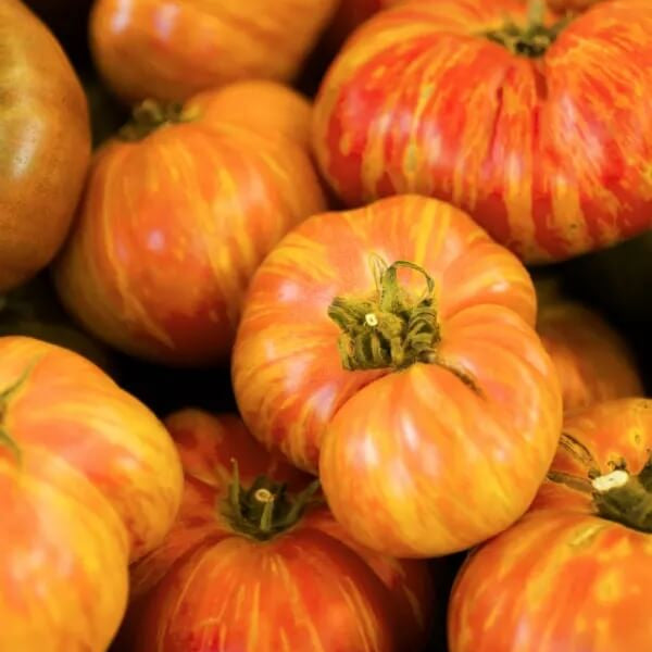 Beefsteak Tomato Seeds - Rainbow