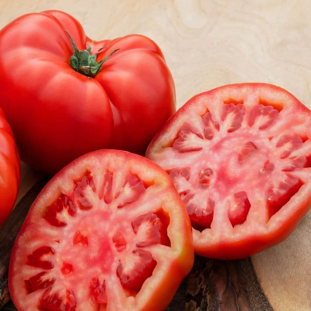 Beefsteak Tomato Seeds - Red
