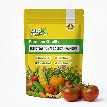 Beefsteak Tomato Seeds - Rainbow