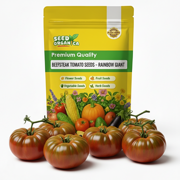 Beefsteak Tomato Seeds - Rainbow Giant
