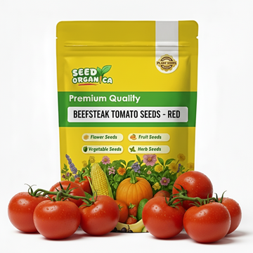 Beefsteak Tomato Seeds - Red