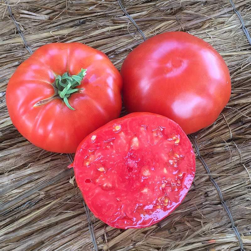Beefsteak Tomato Seeds - Red