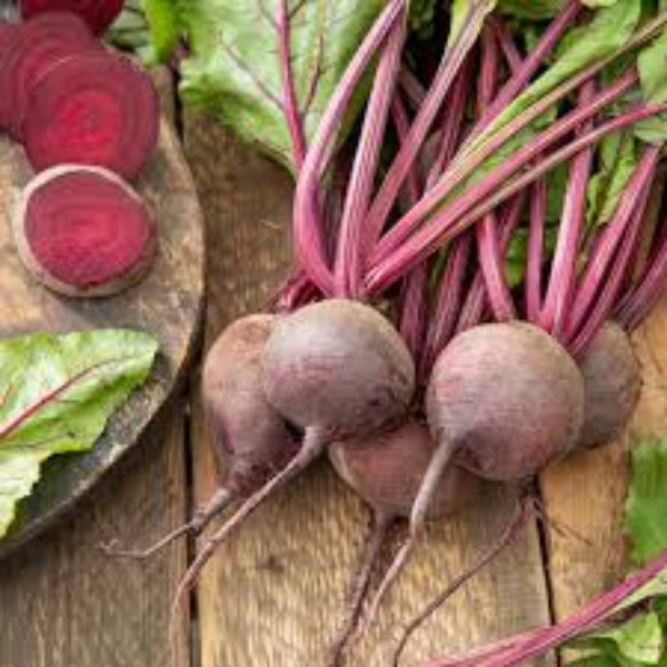 Beet Seeds – Beta Vulgaris
