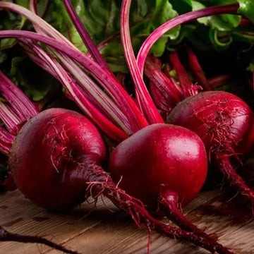 Beet Seeds – Detroit Dark Red
