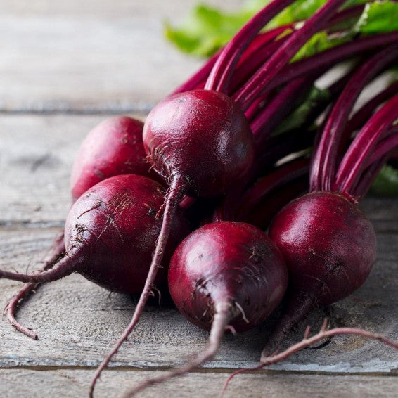 Beet Seeds – Purple
