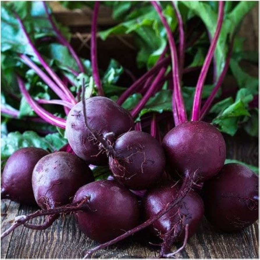 Beet Seeds – Purple
