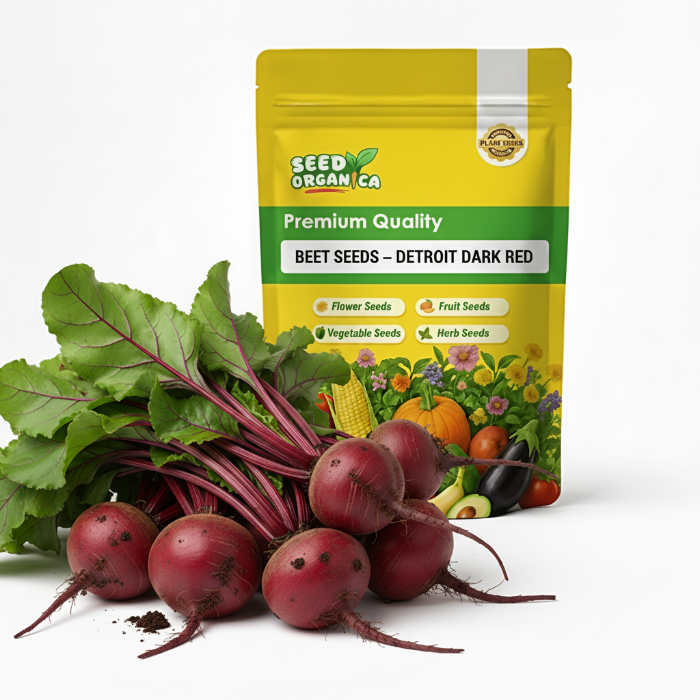 Beet Seeds – Detroit Dark Red