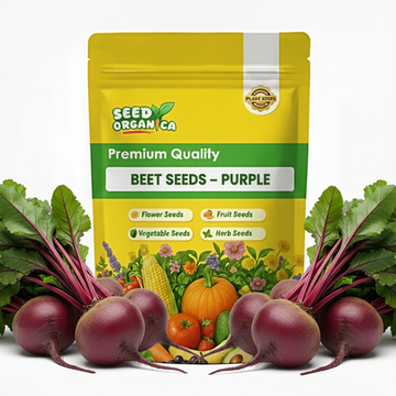 Beet Seeds – Purple