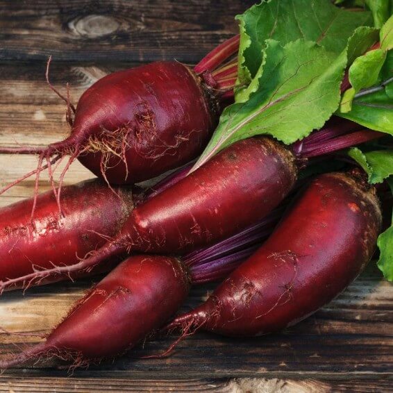 Beetroot Seeds – Cylindra