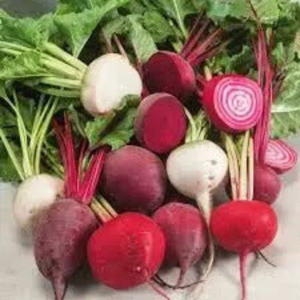 Beetroot Seeds – Mixed