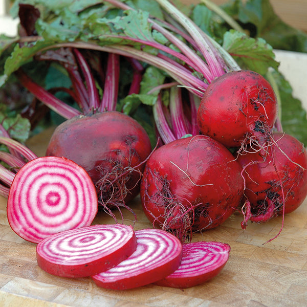 Beetroot Seeds – Pink

