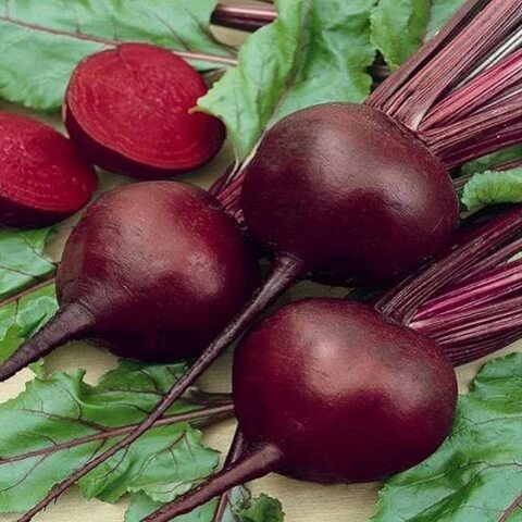 Beetroot Seeds – Red