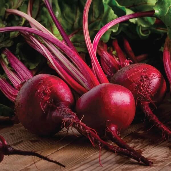 Beetroot Seeds – Red