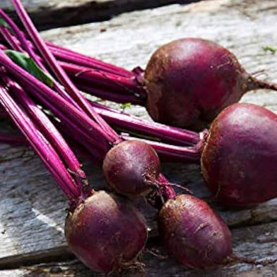 Beetroot Seeds – Purple