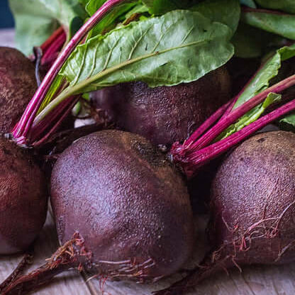 Beetroot Seeds – Purple