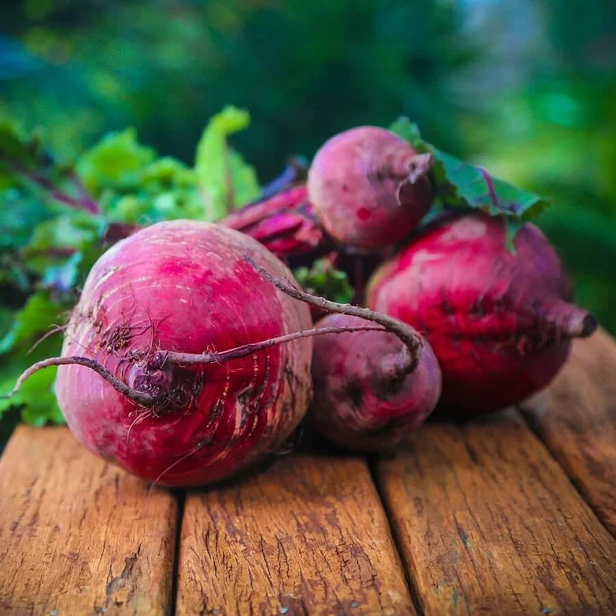 Beetroot Seeds – Dark Pink