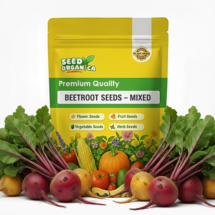 Mixed Beetroot Seeds | Colorful Garden Root Vegetable