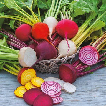 Beetroot Seeds – Mixed