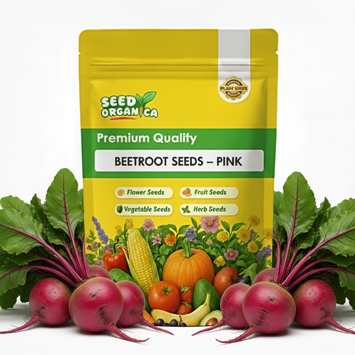 Pink Beetroot Seeds | Buy Vegetable Garden Seeds