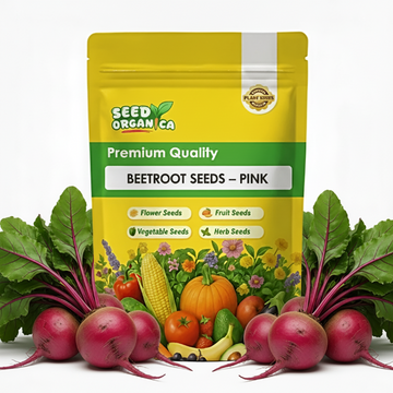 Beetroot Seeds – Pink
