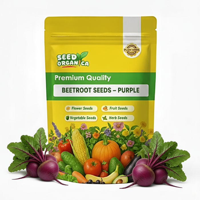 Beetroot Seeds – Purple