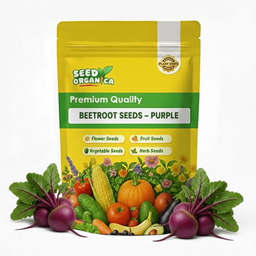 Beetroot Seeds – Purple