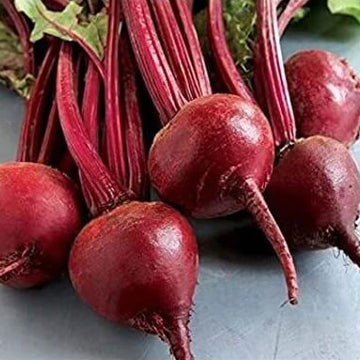 Beetroot Seeds – Rare Vulgaris Organic