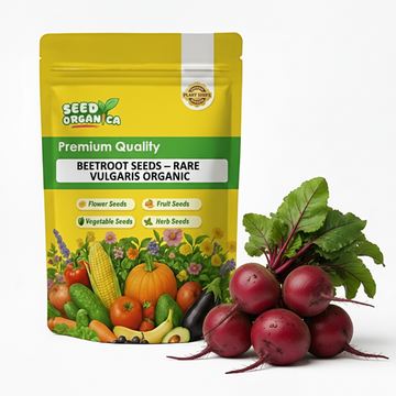 Beetroot Seeds – Rare Vulgaris Organic
