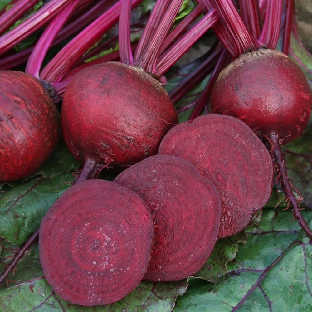 Beetroot Seeds – Red