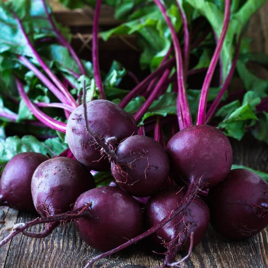 Beetroot Seeds – Violet