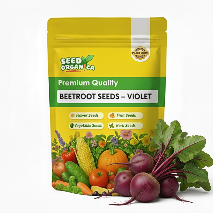 Beetroot Seeds – Violet