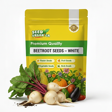 Beetroot Seeds – White