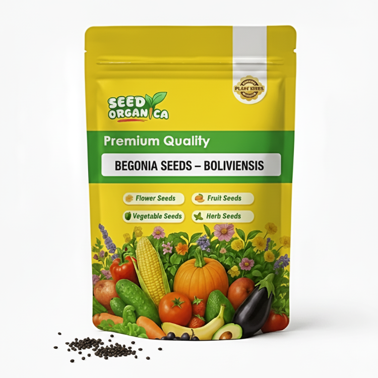 Begonia Seeds – Boliviensis