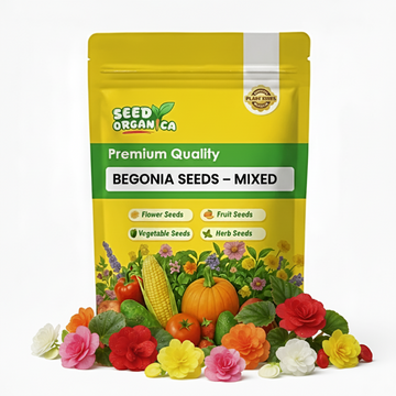 Begonia  Seeds – Mixed