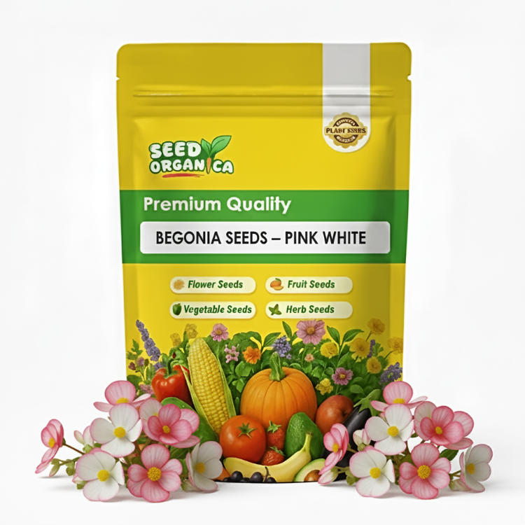 Begonia Seeds – Pink White