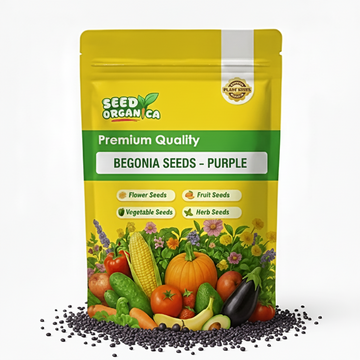 Begonia Seeds – Purple
