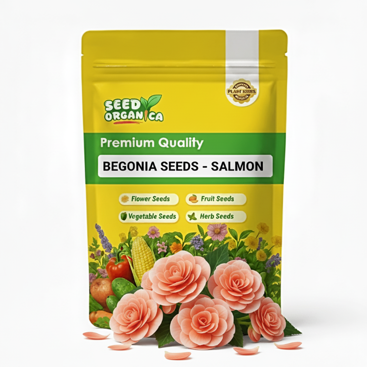 Begonia Seeds – Salmon