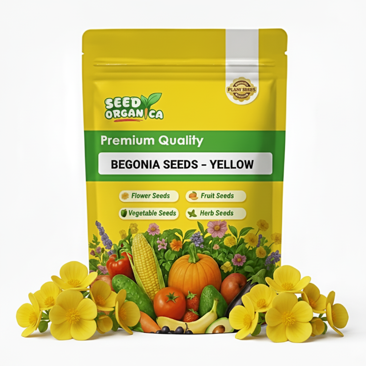 Begonia Seeds – Yellow