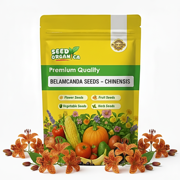 Belamcanda Seeds – Chinensis
