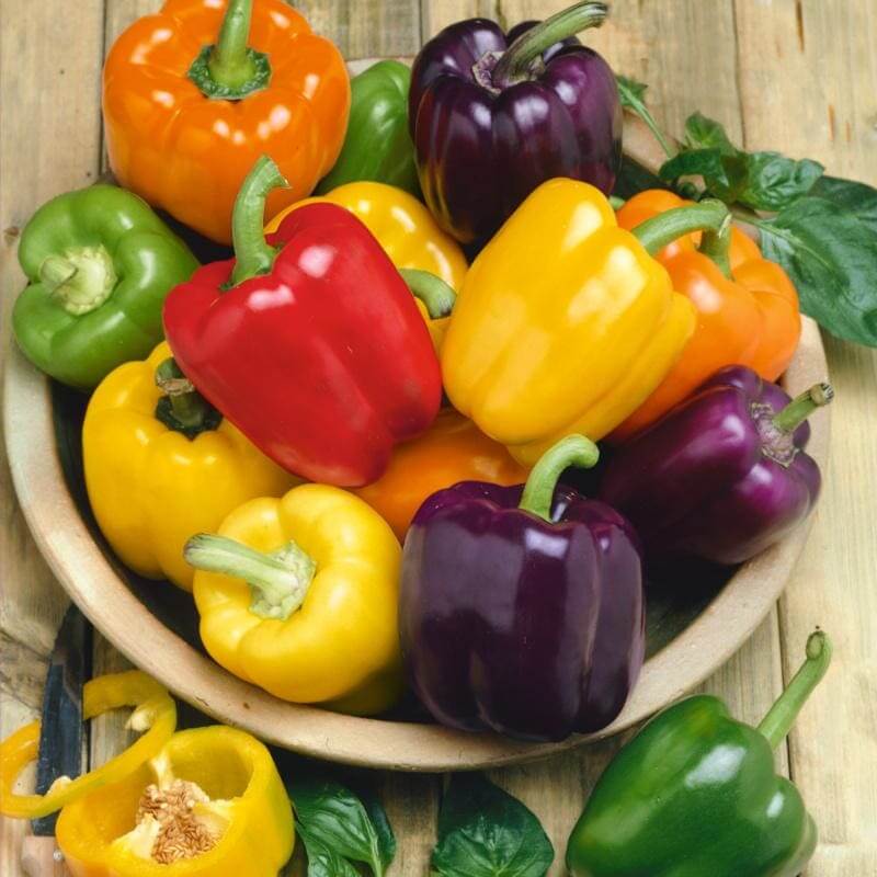 Bell Pepper Seeds – Rainbow