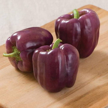 Bell Pepper Seeds – Purple